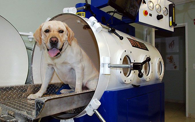 The Complete Guide to Hyperbaric Oxygen Therapy