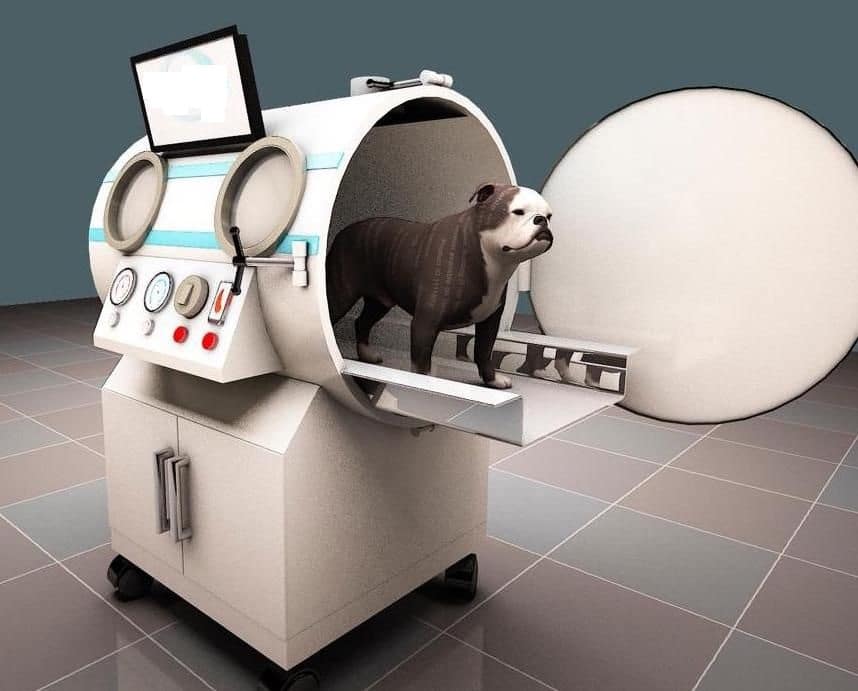 veterinary hyperbaric oxygen therapy chamber